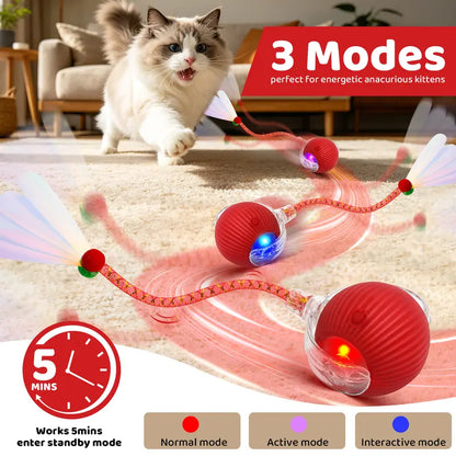 The Perfect Christmas Gift for Your Pet – Rechargeable Interactive Chase Ball