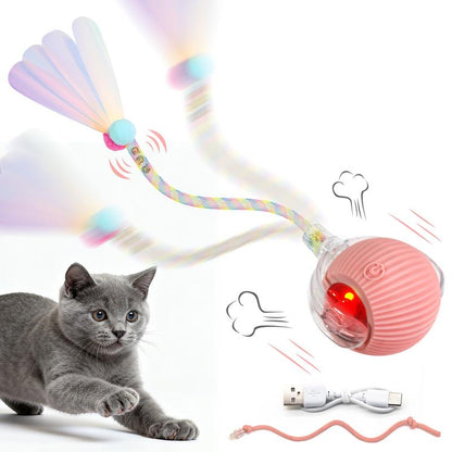 The Perfect Christmas Gift for Your Pet – Rechargeable Interactive Chase Ball