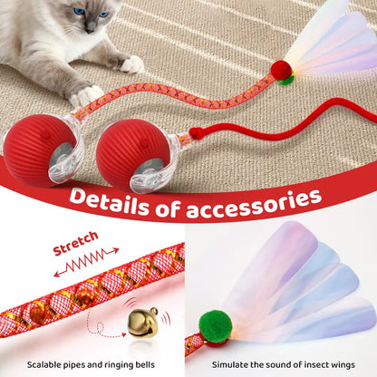 The Perfect Christmas Gift for Your Pet – Rechargeable Interactive Chase Ball