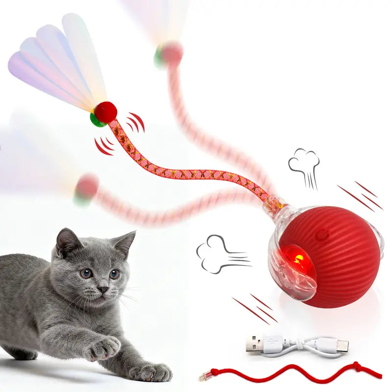 The Perfect Christmas Gift for Your Pet – Rechargeable Interactive Chase Ball