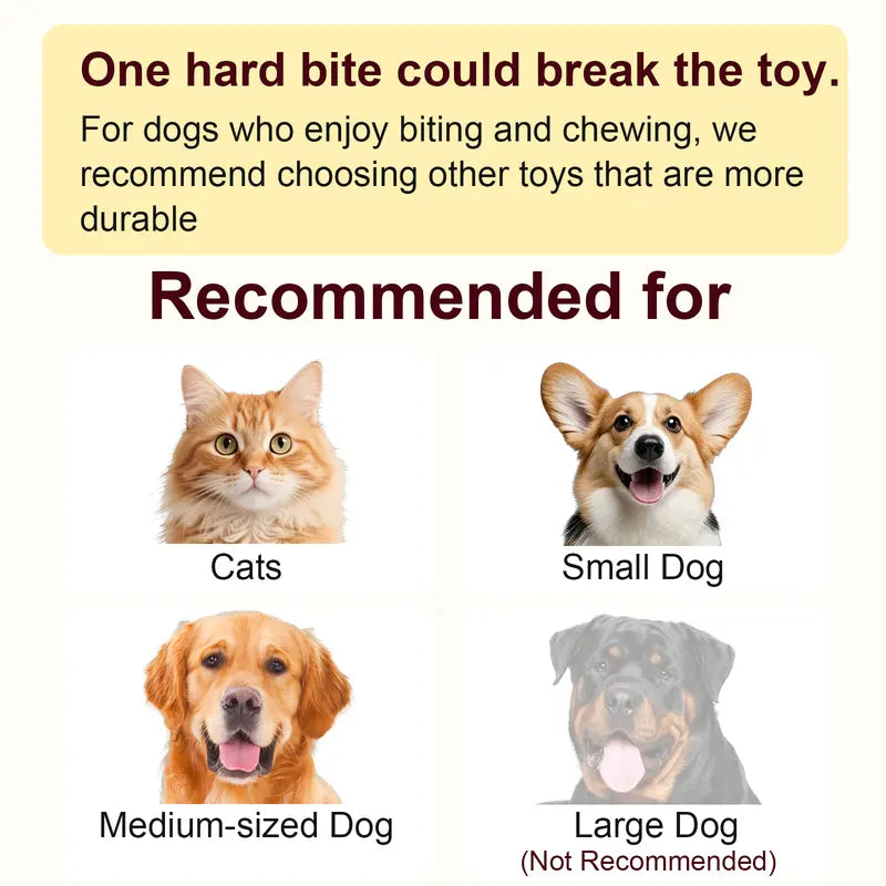 The Perfect Christmas Gift for Your Pet – Rechargeable Interactive Chase Ball
