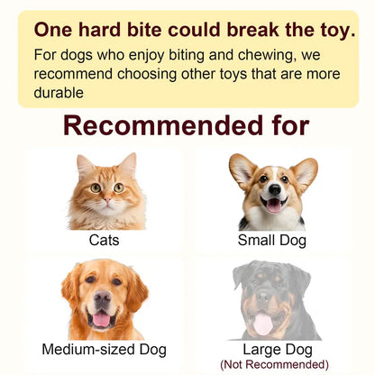 The Perfect Christmas Gift for Your Pet – Rechargeable Interactive Chase Ball