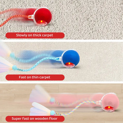 The Perfect Christmas Gift for Your Pet – Rechargeable Interactive Chase Ball