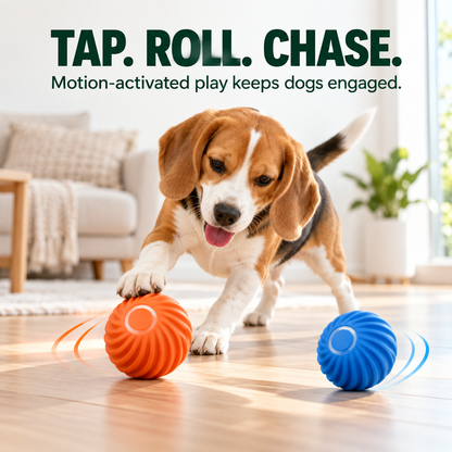 Rechargeable Motion-Activated Dog Ball – Automatic Rolling Toy