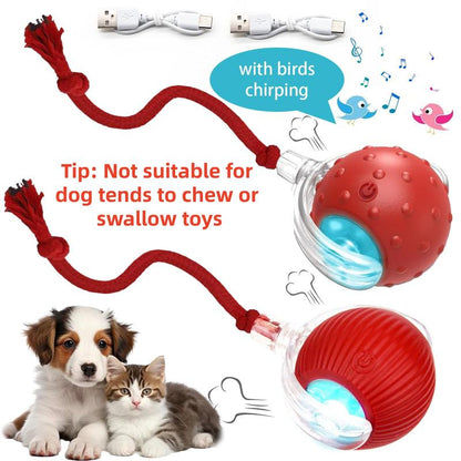 The Perfect Christmas Gift for Your Pet – Rechargeable Interactive Chase Ball